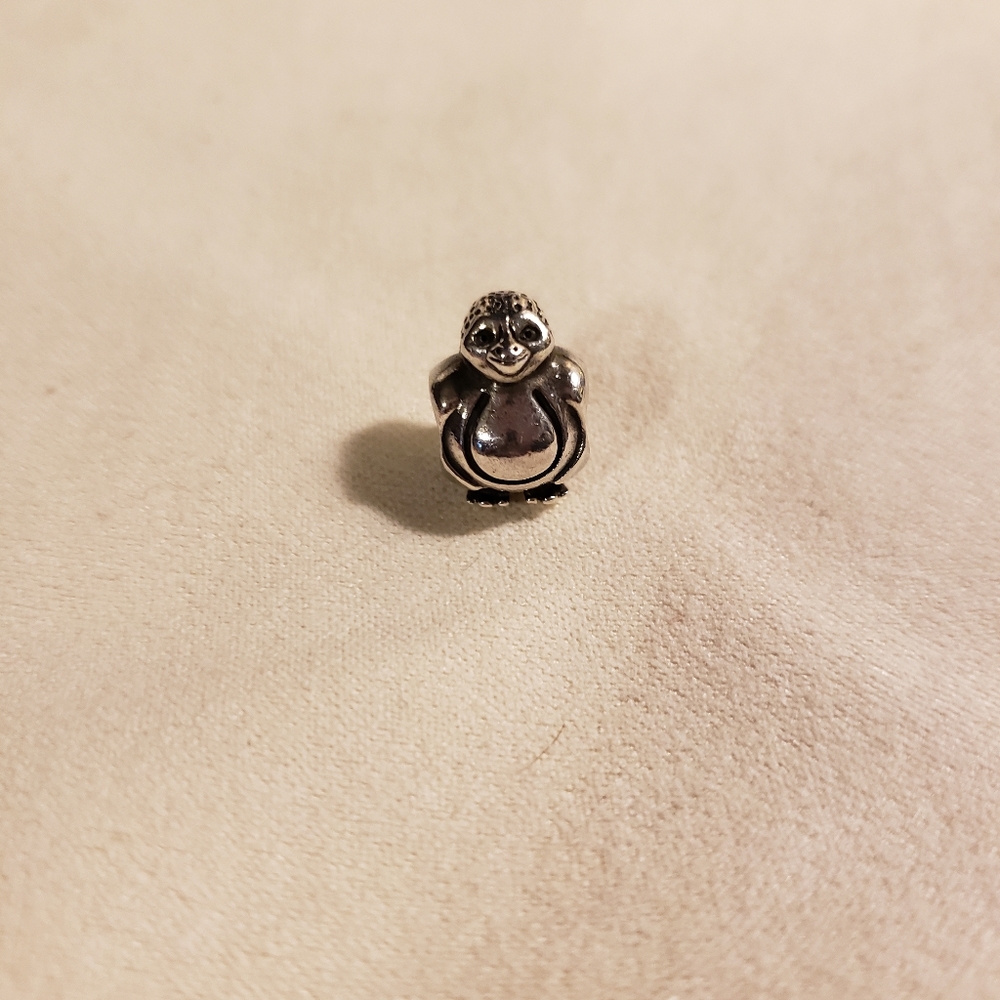 Charm